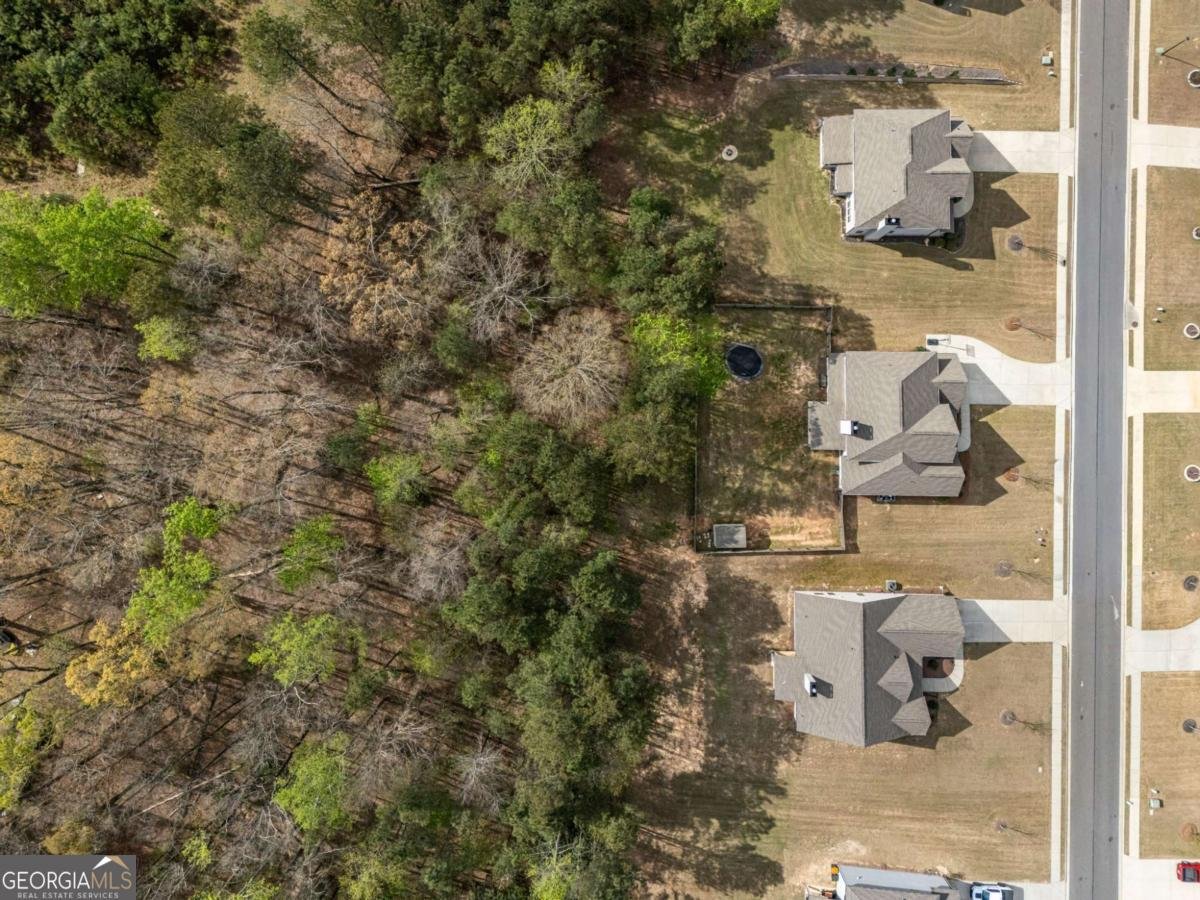 4575 Birch Way Loganville - Photo 42