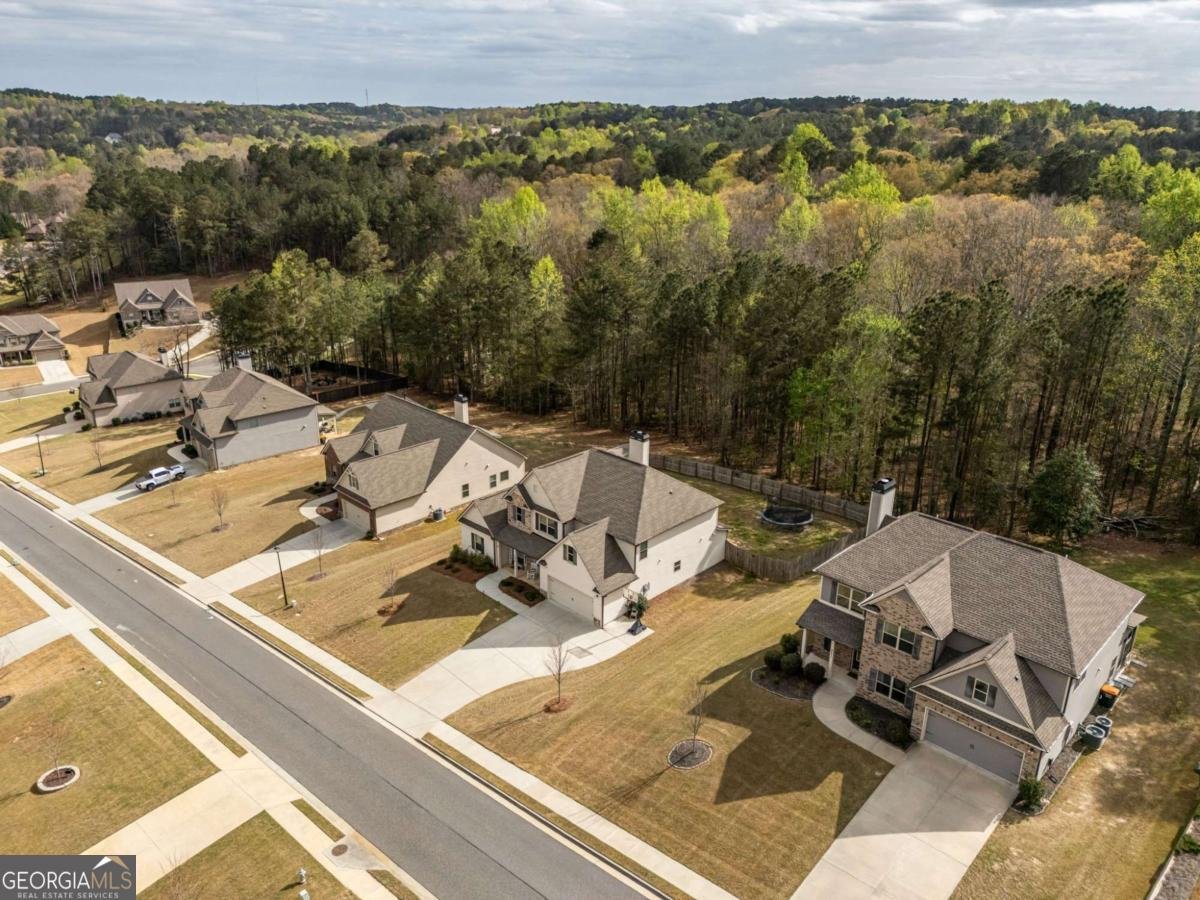 4575 Birch Way Loganville - Photo 43