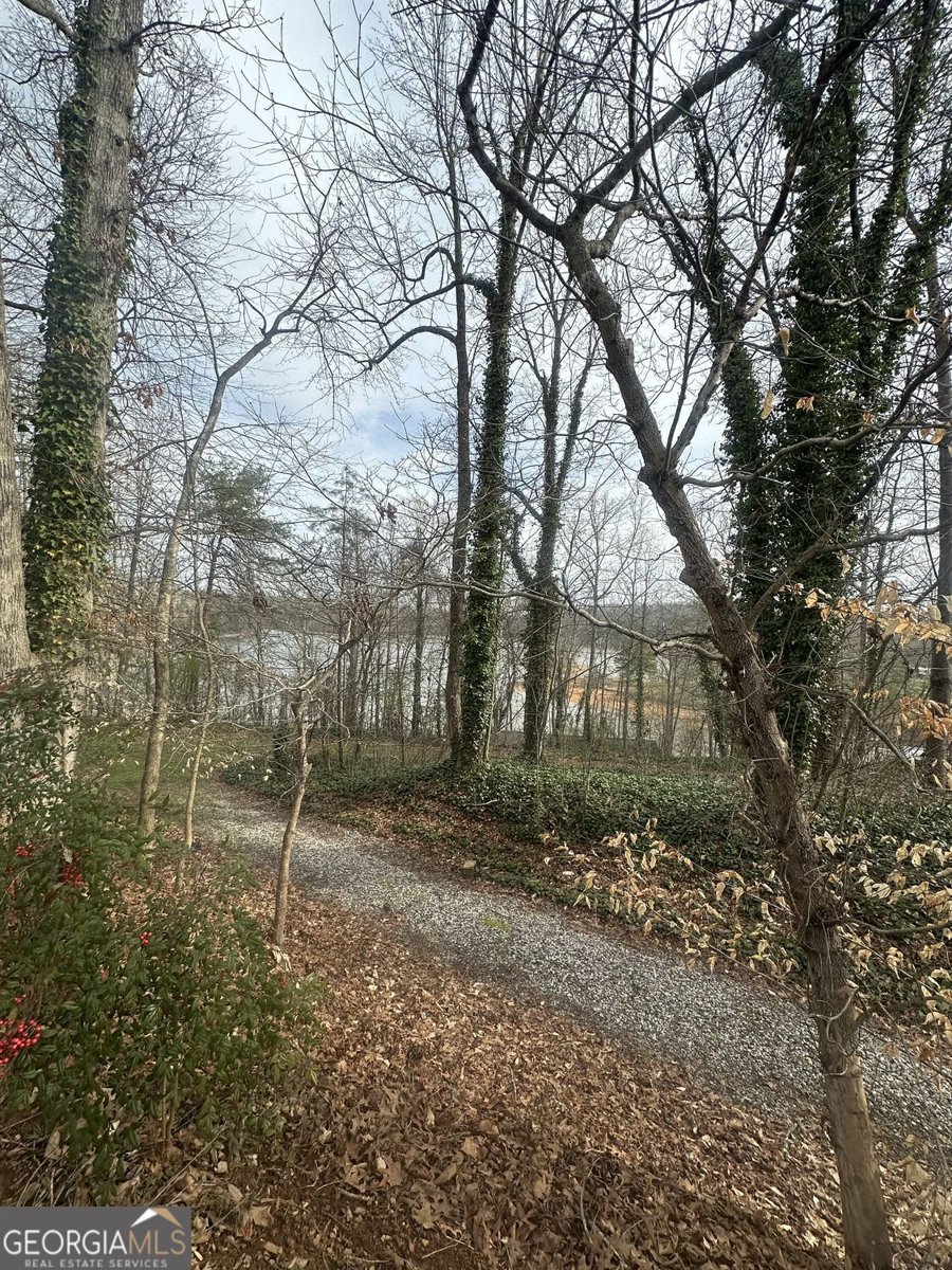 5525 Mount Shores Circle Gainesville - Photo 20