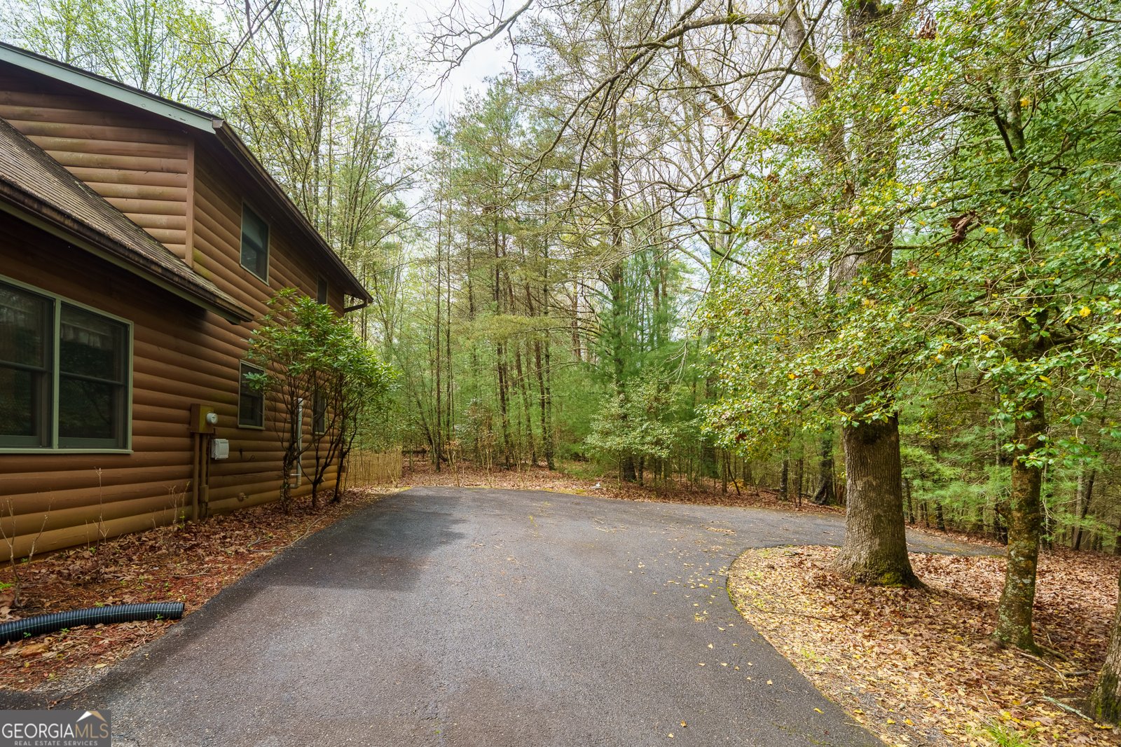 238 Cedar Ridge Road Cherry Log - Photo 6