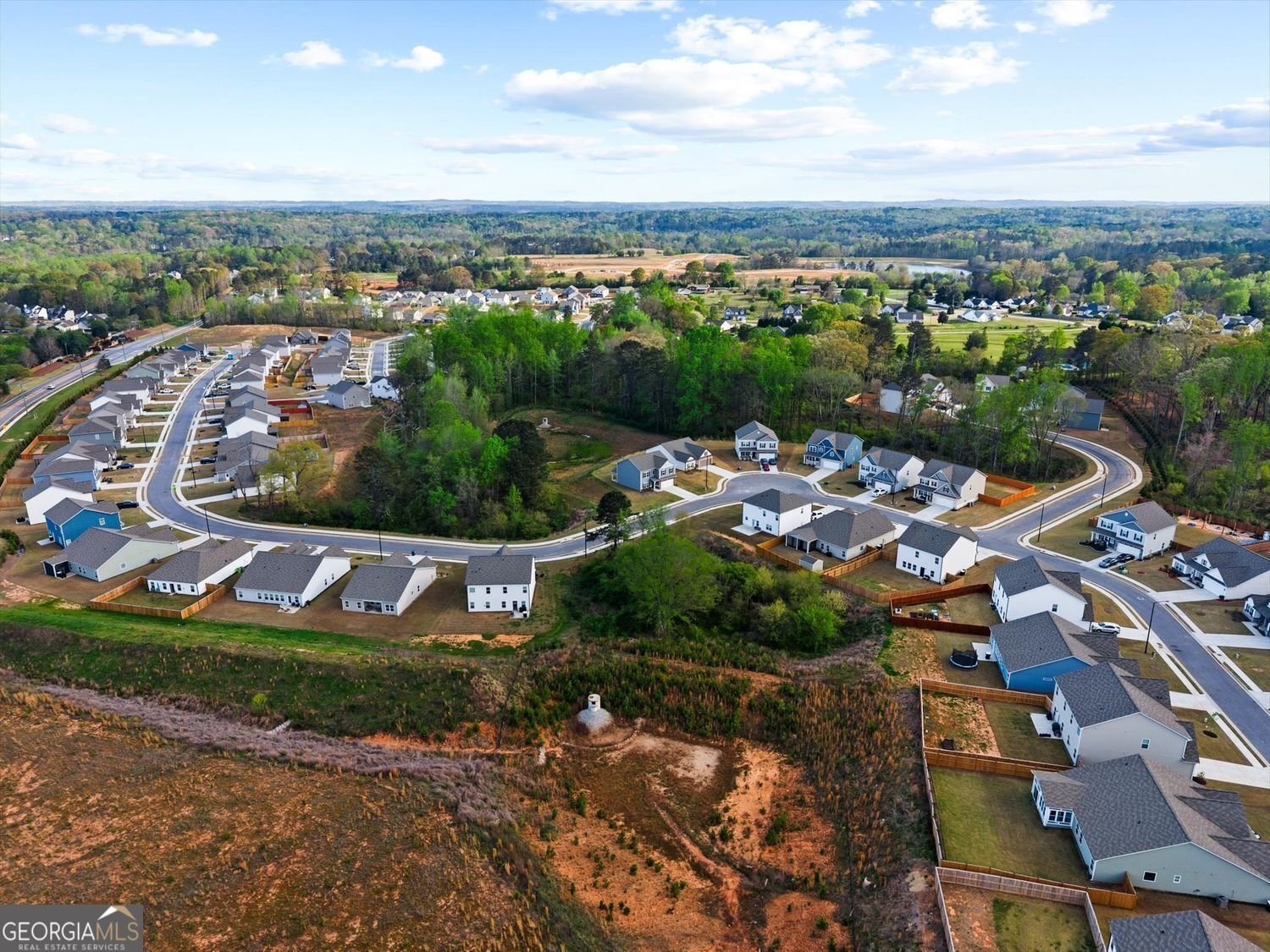 301 Autrey Drive Douglasville - Photo 64