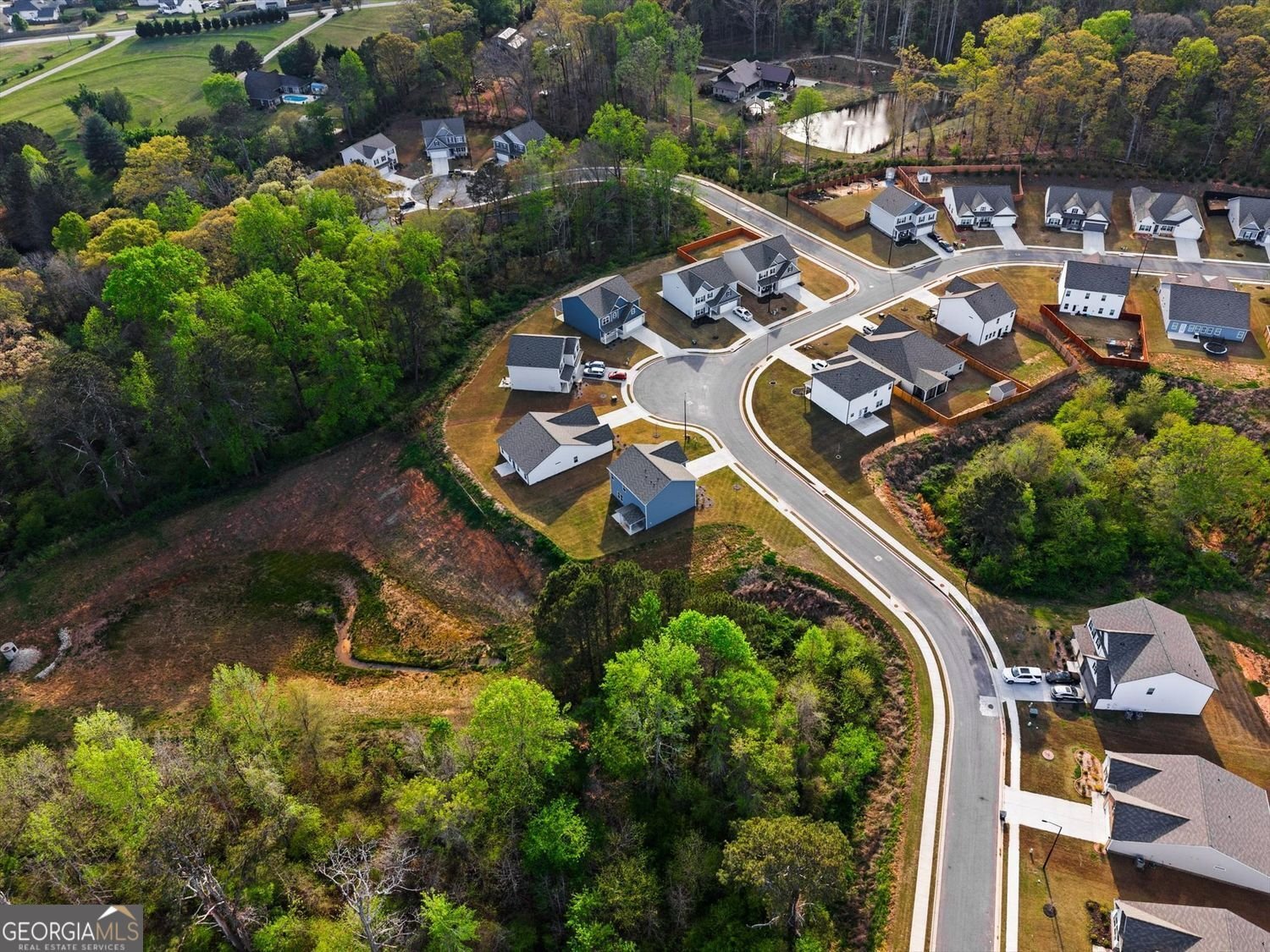 301 Autrey Drive Douglasville - Photo 65