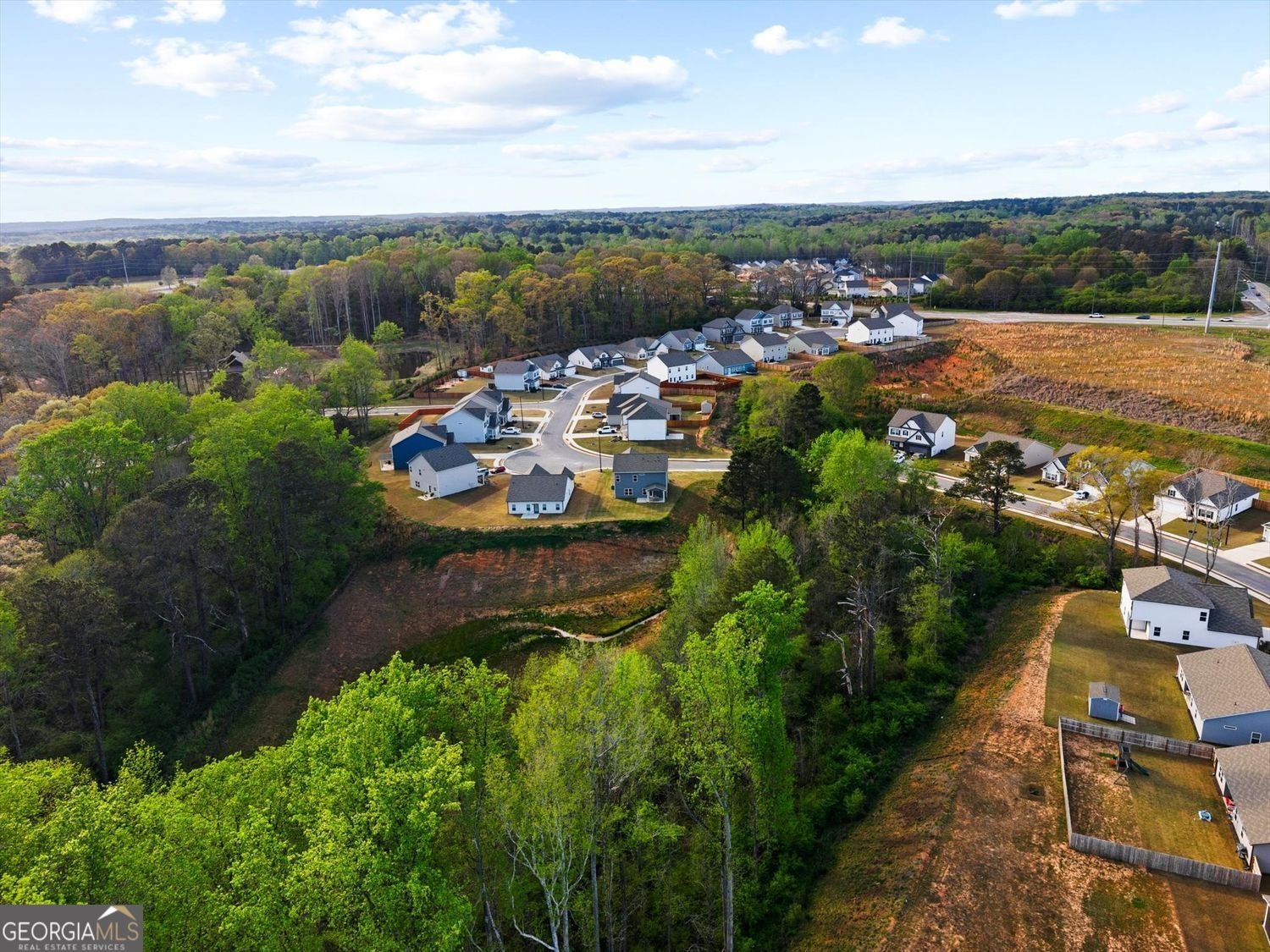 301 Autrey Drive Douglasville - Photo 66