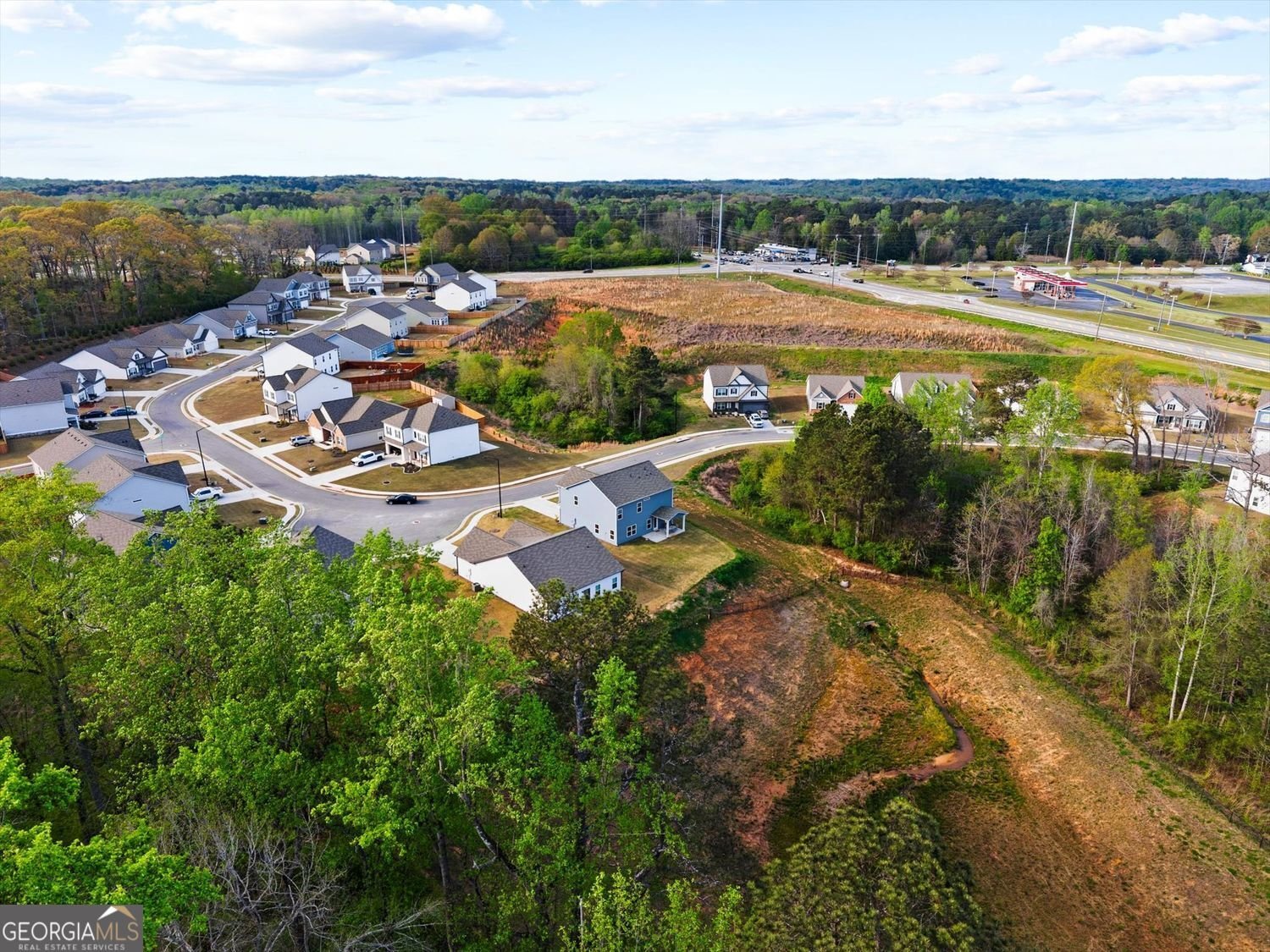 301 Autrey Drive Douglasville - Photo 67