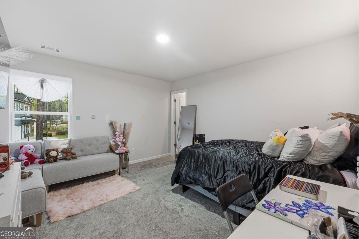 95 Haven Brook Way Douglasville - Photo 19