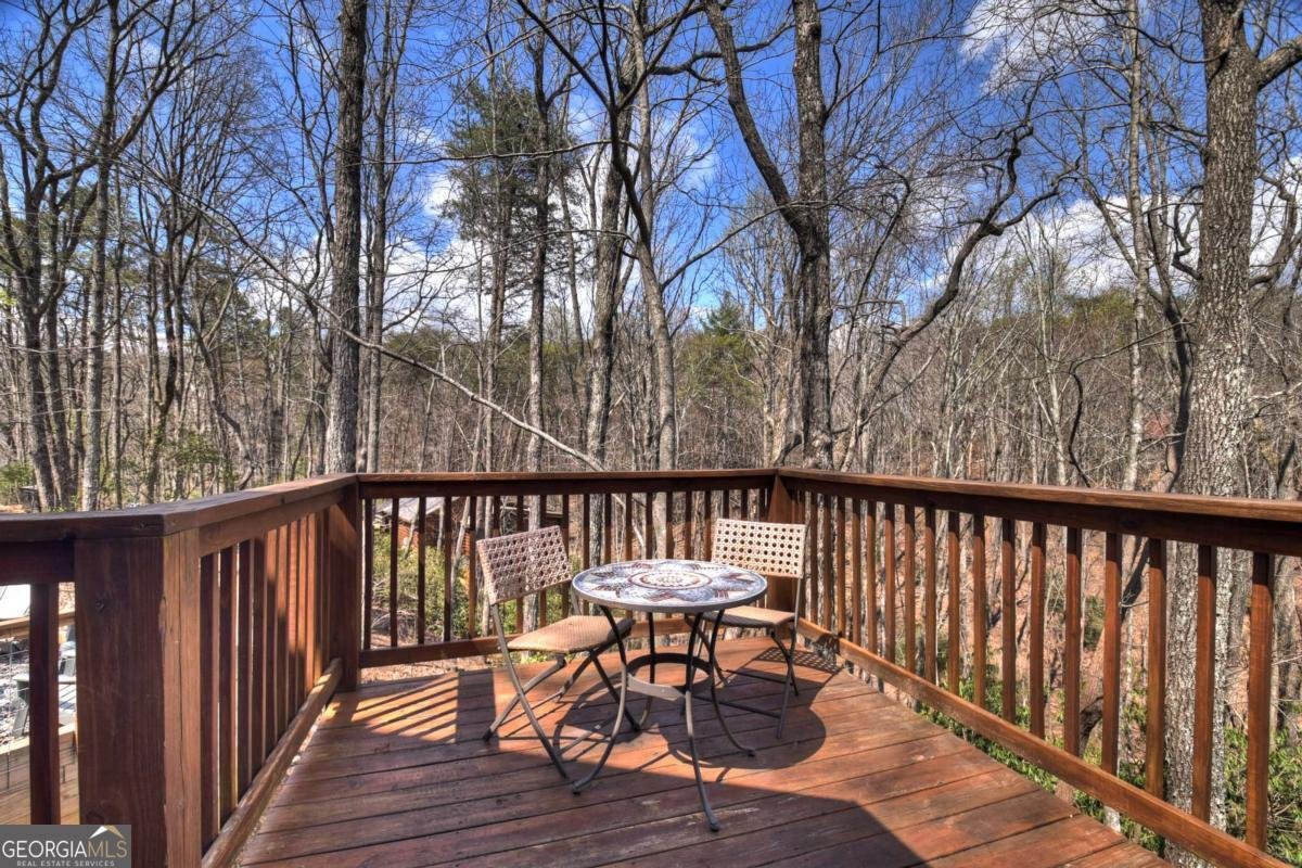 1113 Cherry Lake Drive Cherry Log - Photo 36