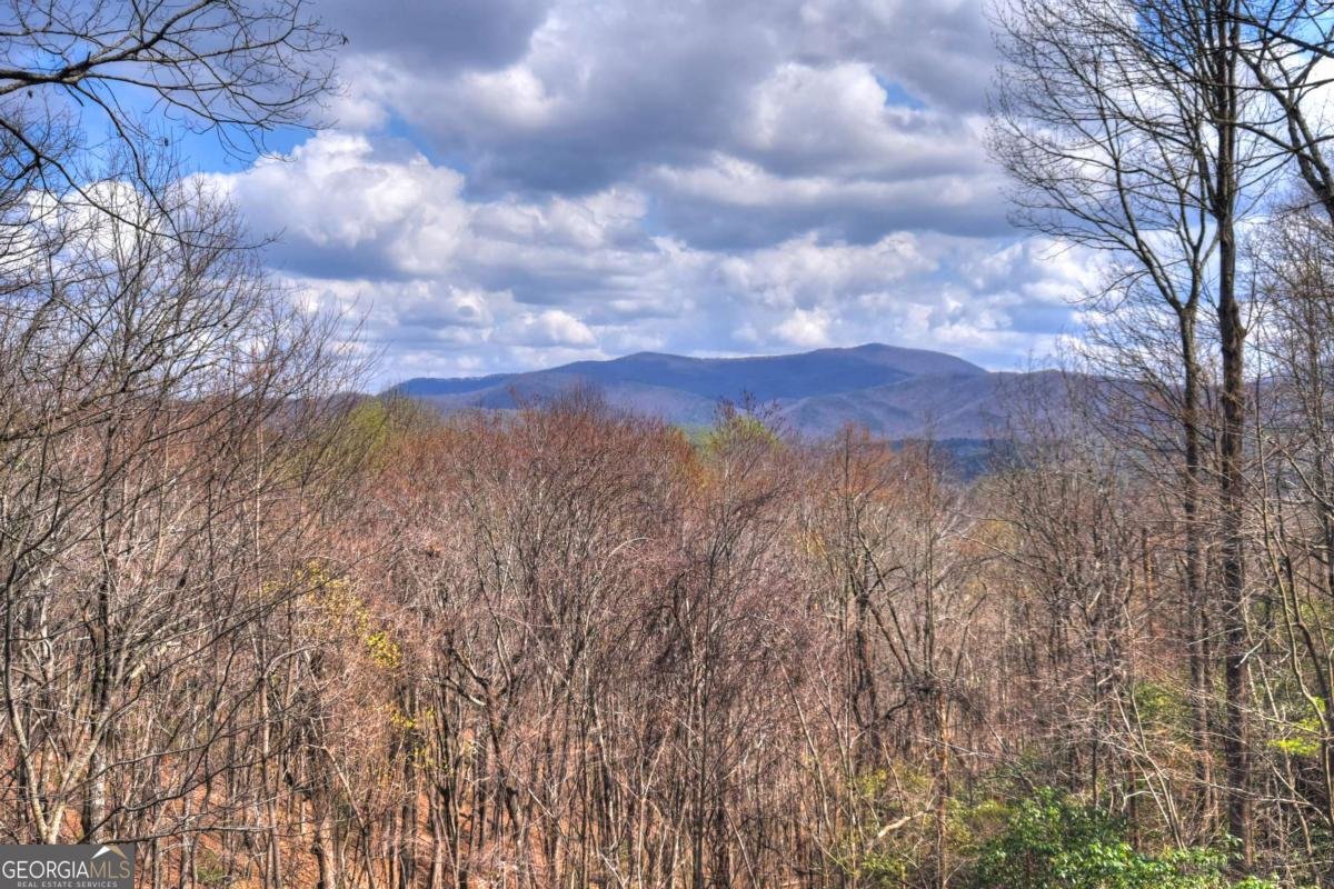 1113 Cherry Lake Drive Cherry Log - Photo 39