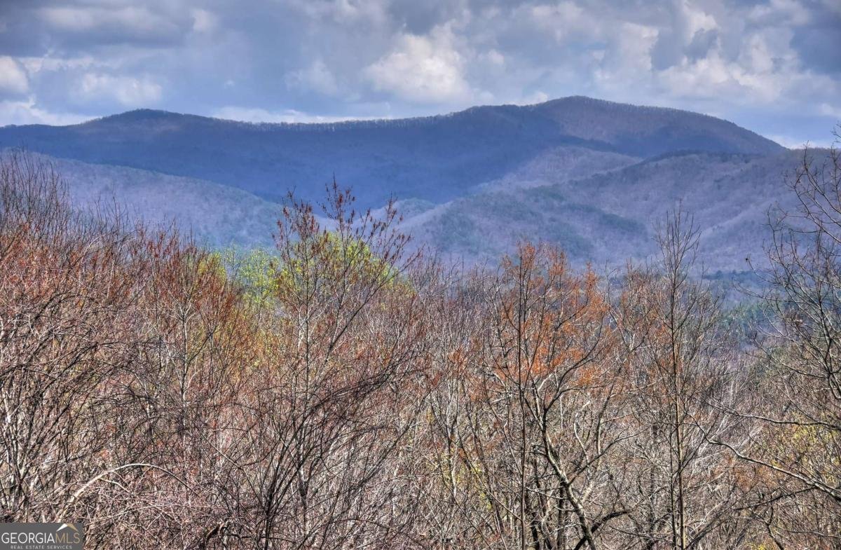 1113 Cherry Lake Drive Cherry Log - Photo 40