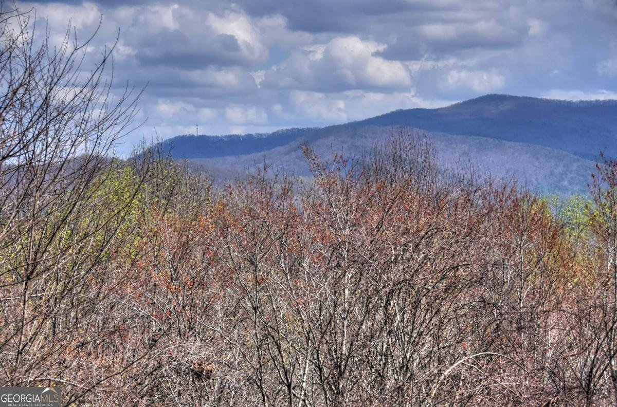 1113 Cherry Lake Drive Cherry Log - Photo 45