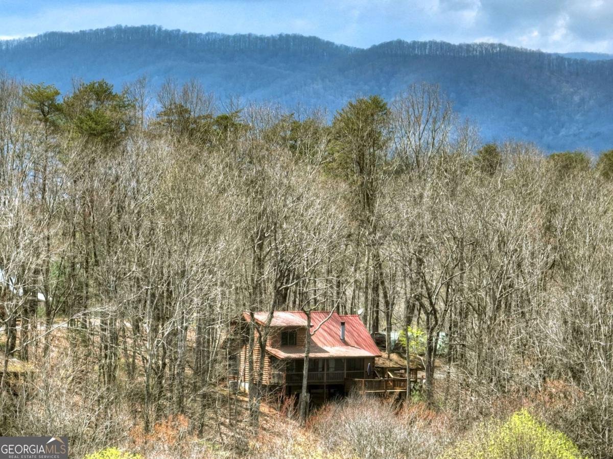 1113 Cherry Lake Drive Cherry Log - Photo 52