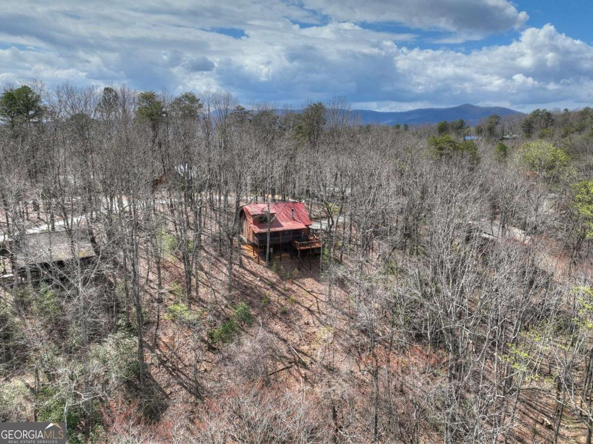 1113 Cherry Lake Drive Cherry Log - Photo 53