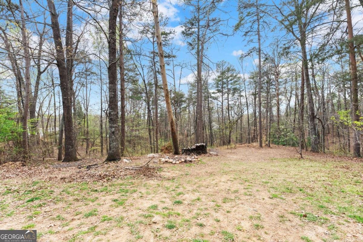 64 Wild Ridge Lane Dahlonega - Photo 39