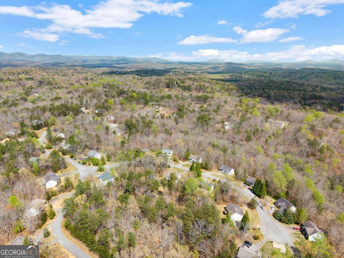 64 Wild Ridge Lane Dahlonega - Photo 41
