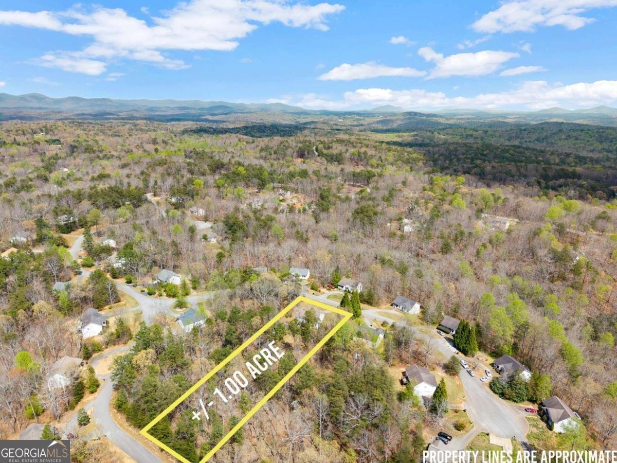 64 Wild Ridge Lane Dahlonega - Photo 43