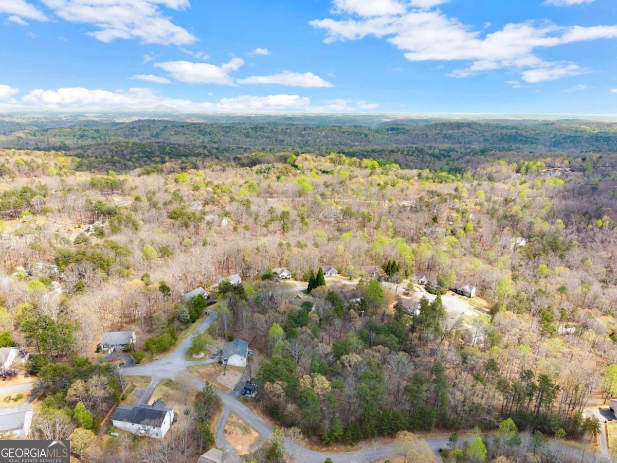 64 Wild Ridge Lane Dahlonega - Photo 44