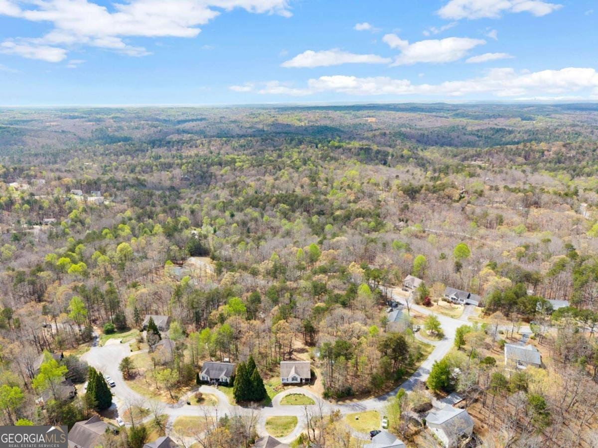 64 Wild Ridge Lane Dahlonega - Photo 45