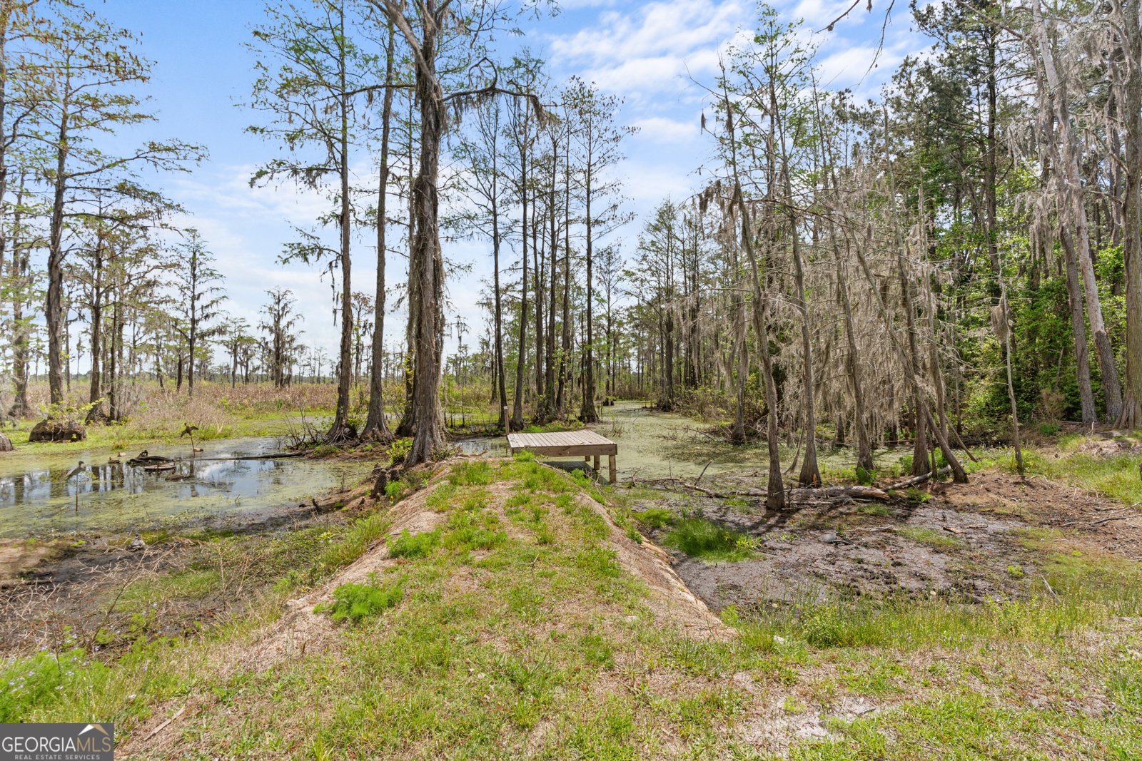 2200 Kennedy Pond Road Statesboro - Photo 27