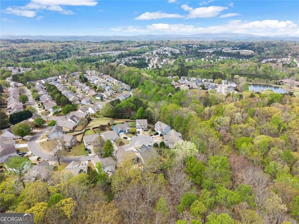 312 Springs Crossing Canton - Photo 47