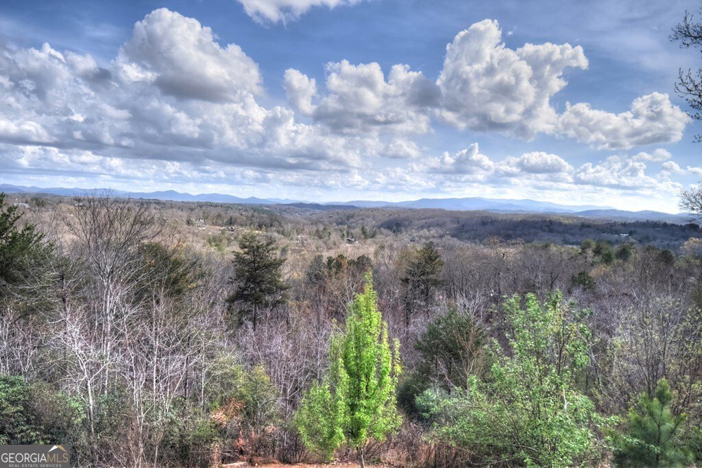 185 Logan Drive Mineral Bluff - Photo 24