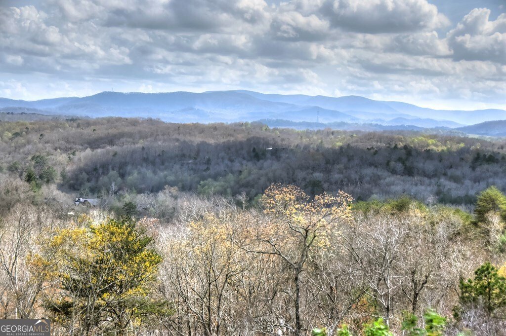 185 Logan Drive Mineral Bluff - Photo 25