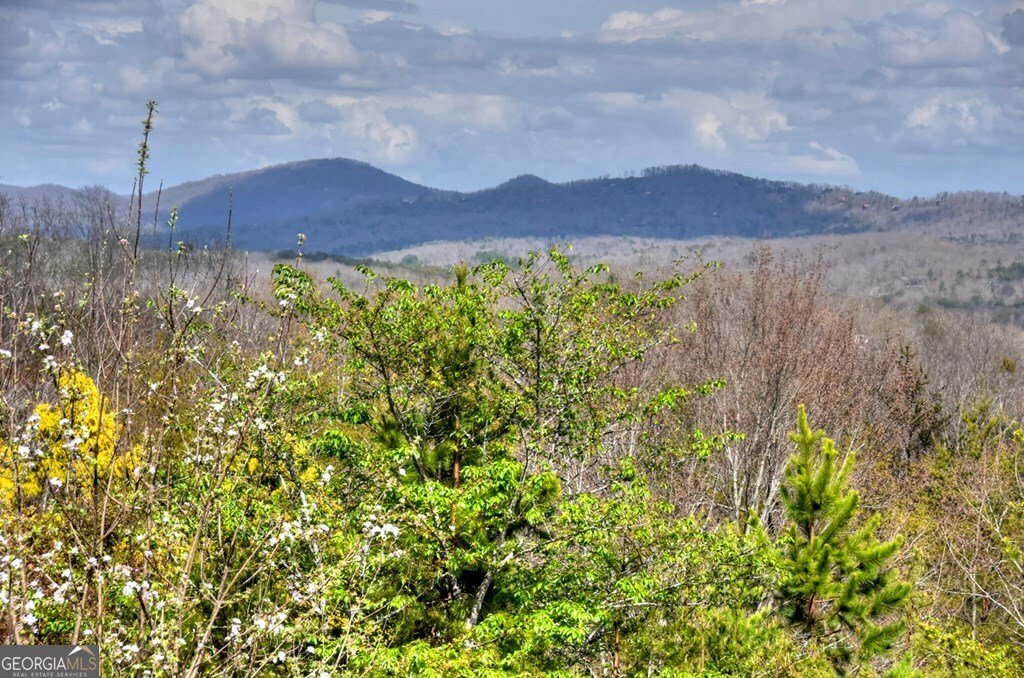 185 Logan Drive Mineral Bluff - Photo 26