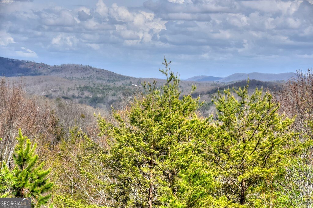 185 Logan Drive Mineral Bluff - Photo 27