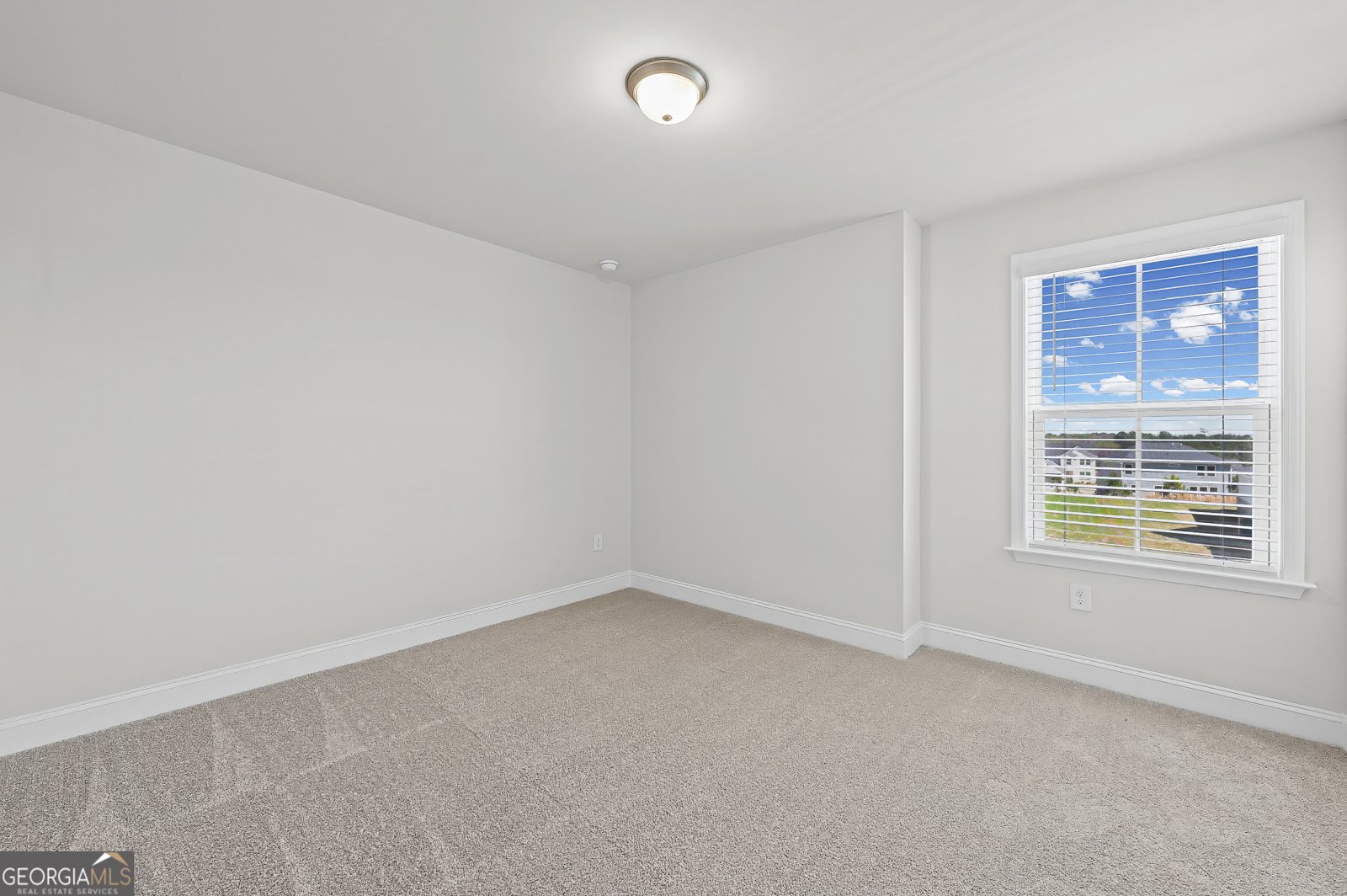 252 Nesta Grove Drive Locust Grove - Photo 19