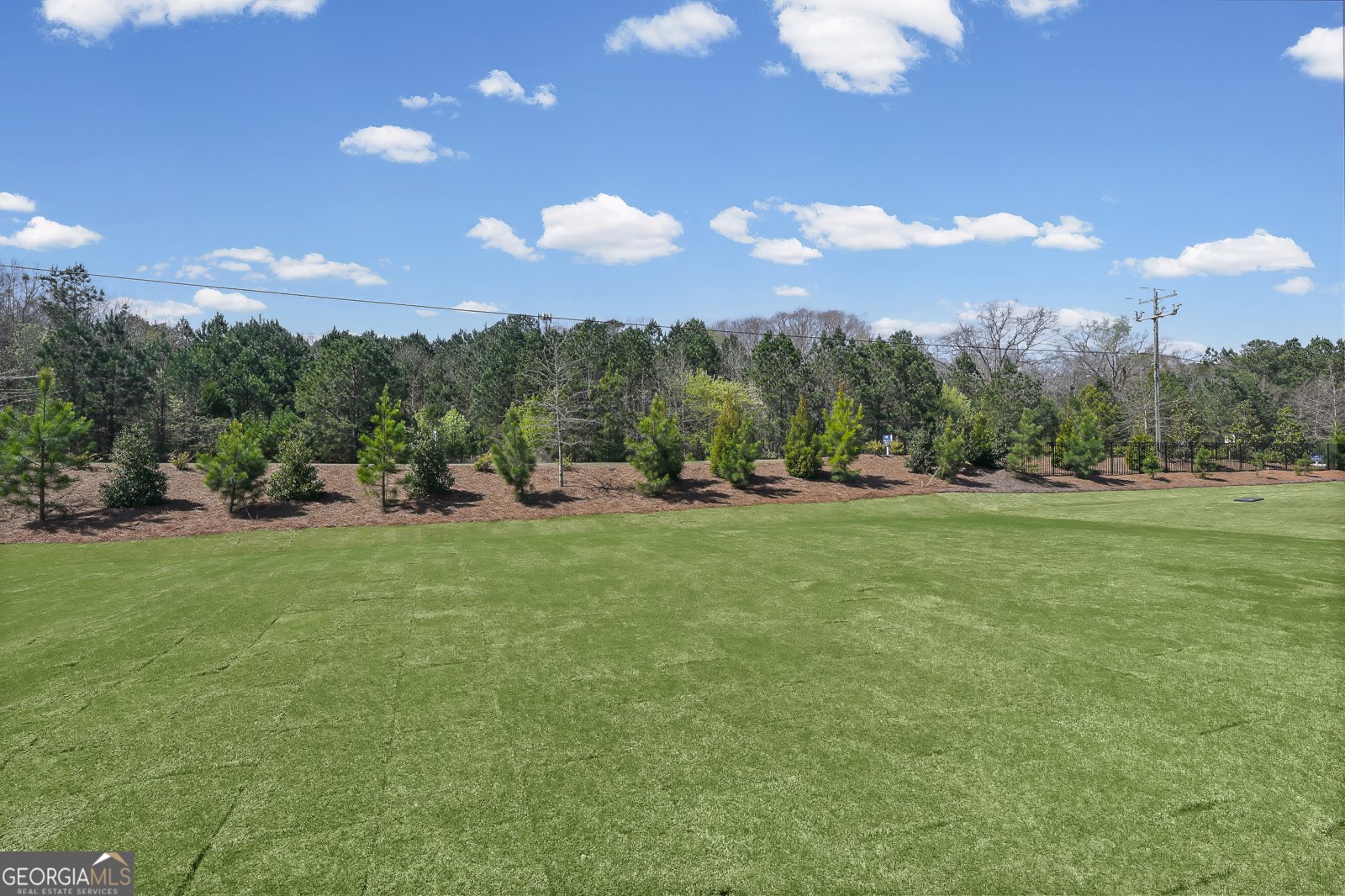 252 Nesta Grove Drive Locust Grove - Photo 24