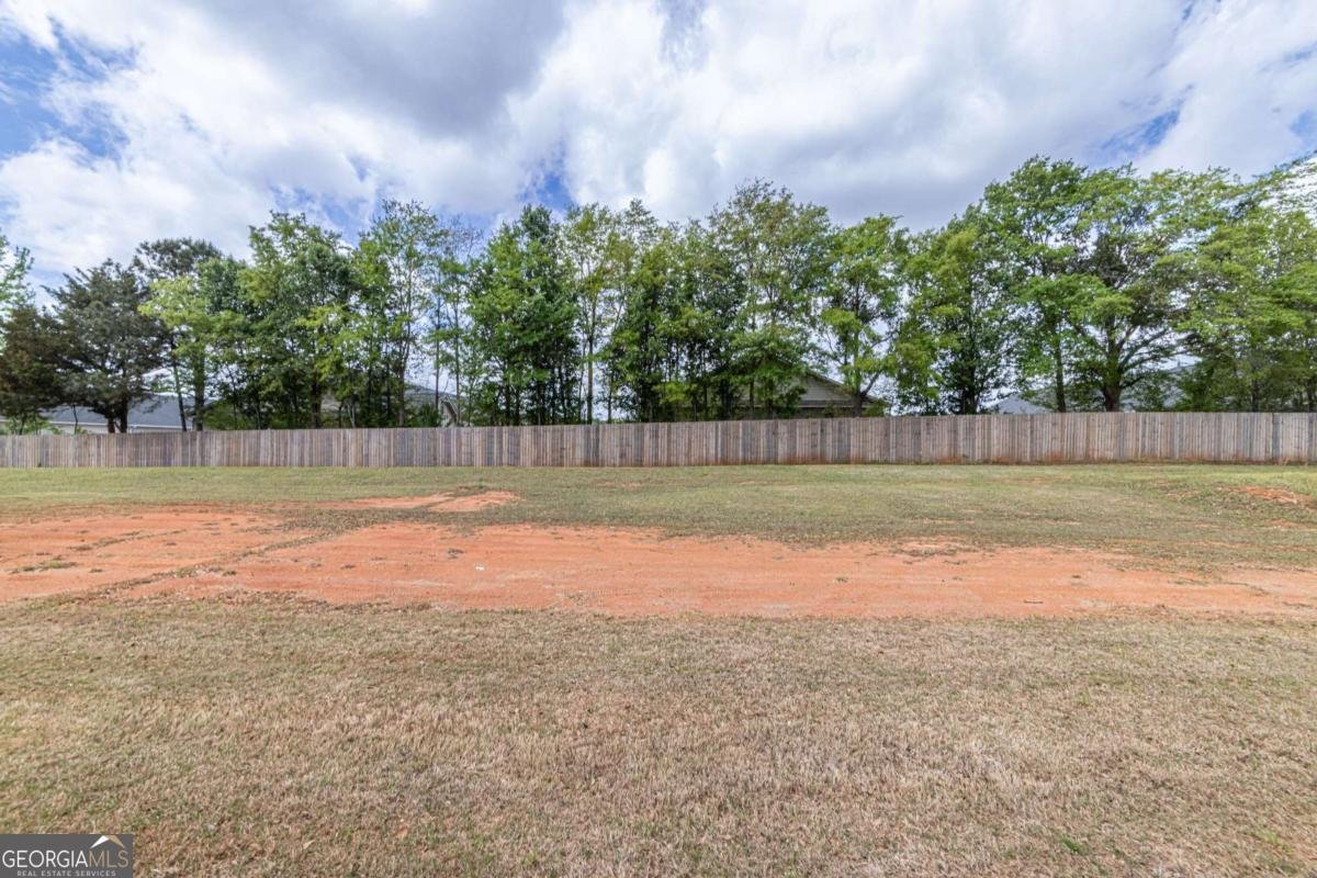 101 Saxton Lane Mcdonough - Photo 78