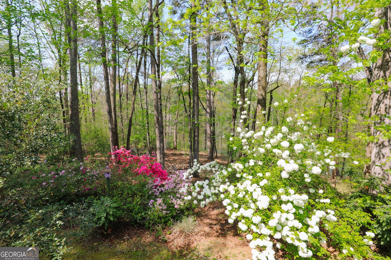 1015 Wahoo Hill Newnan - Photo 62