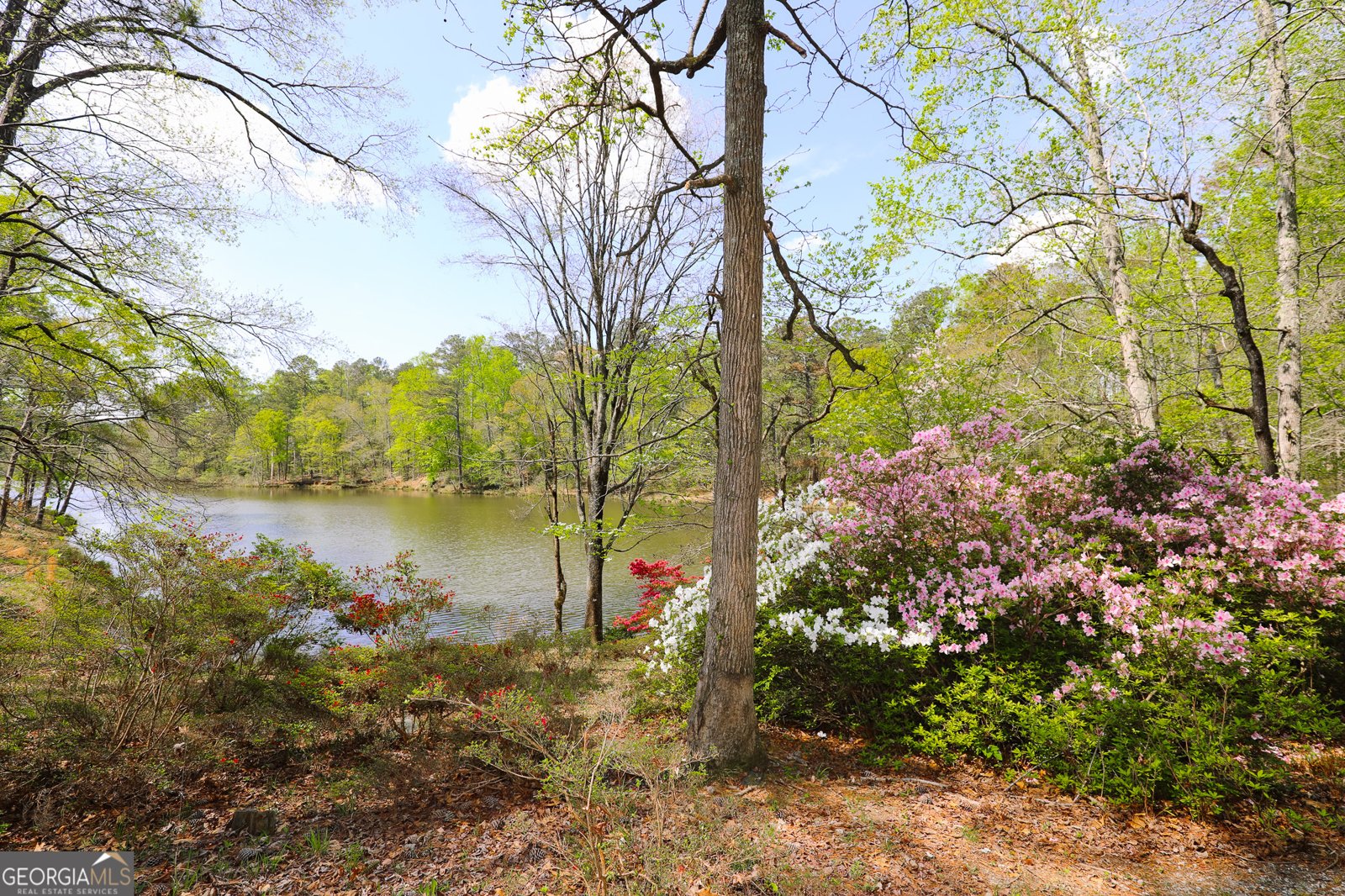 1015 Wahoo Hill Newnan - Photo 64