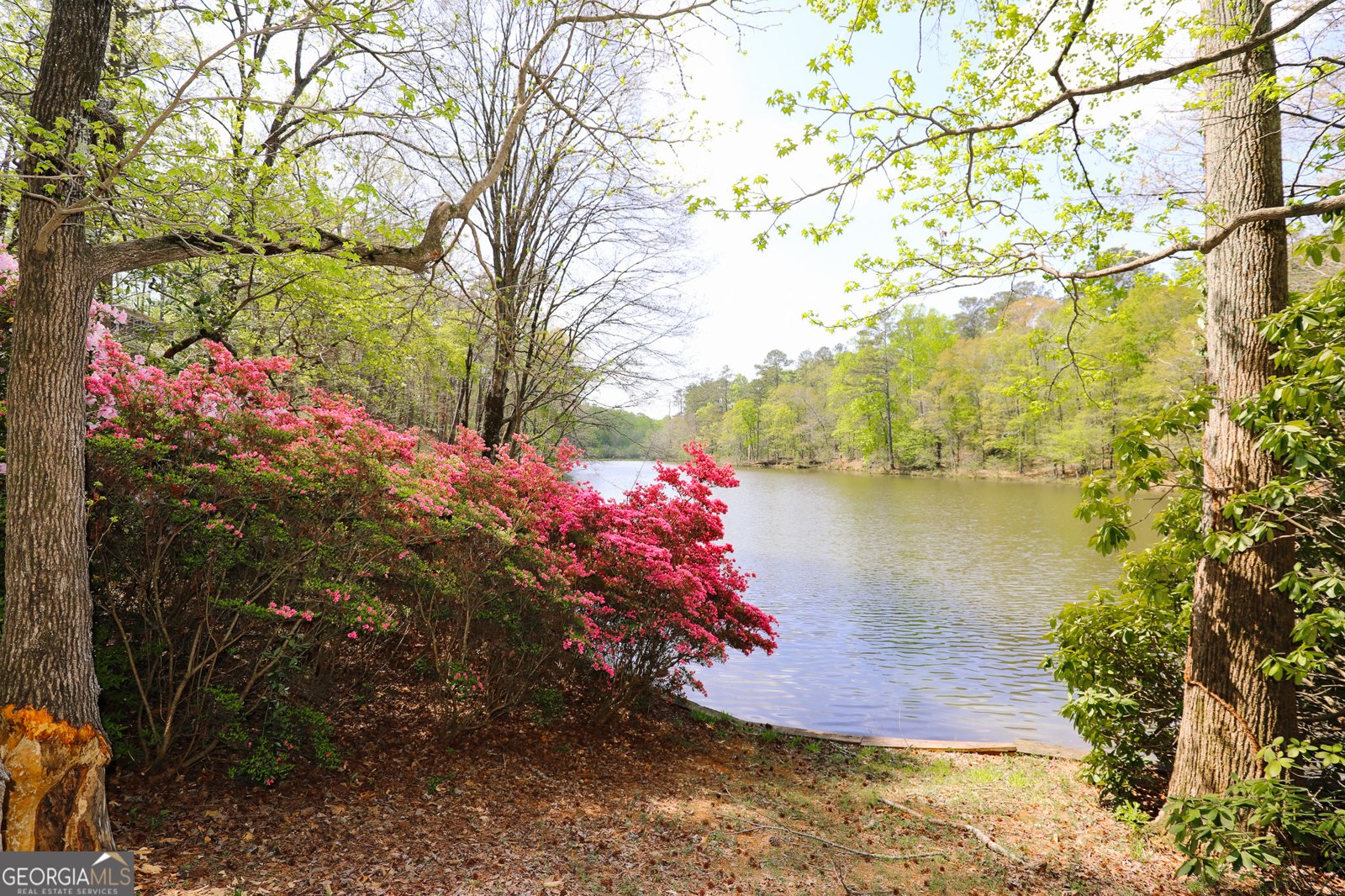 1015 Wahoo Hill Newnan - Photo 65