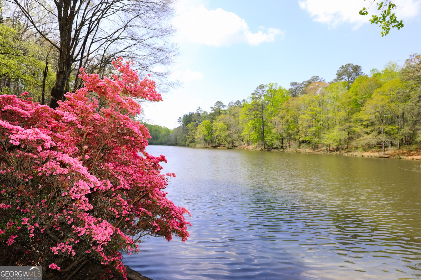 1015 Wahoo Hill Newnan - Photo 66