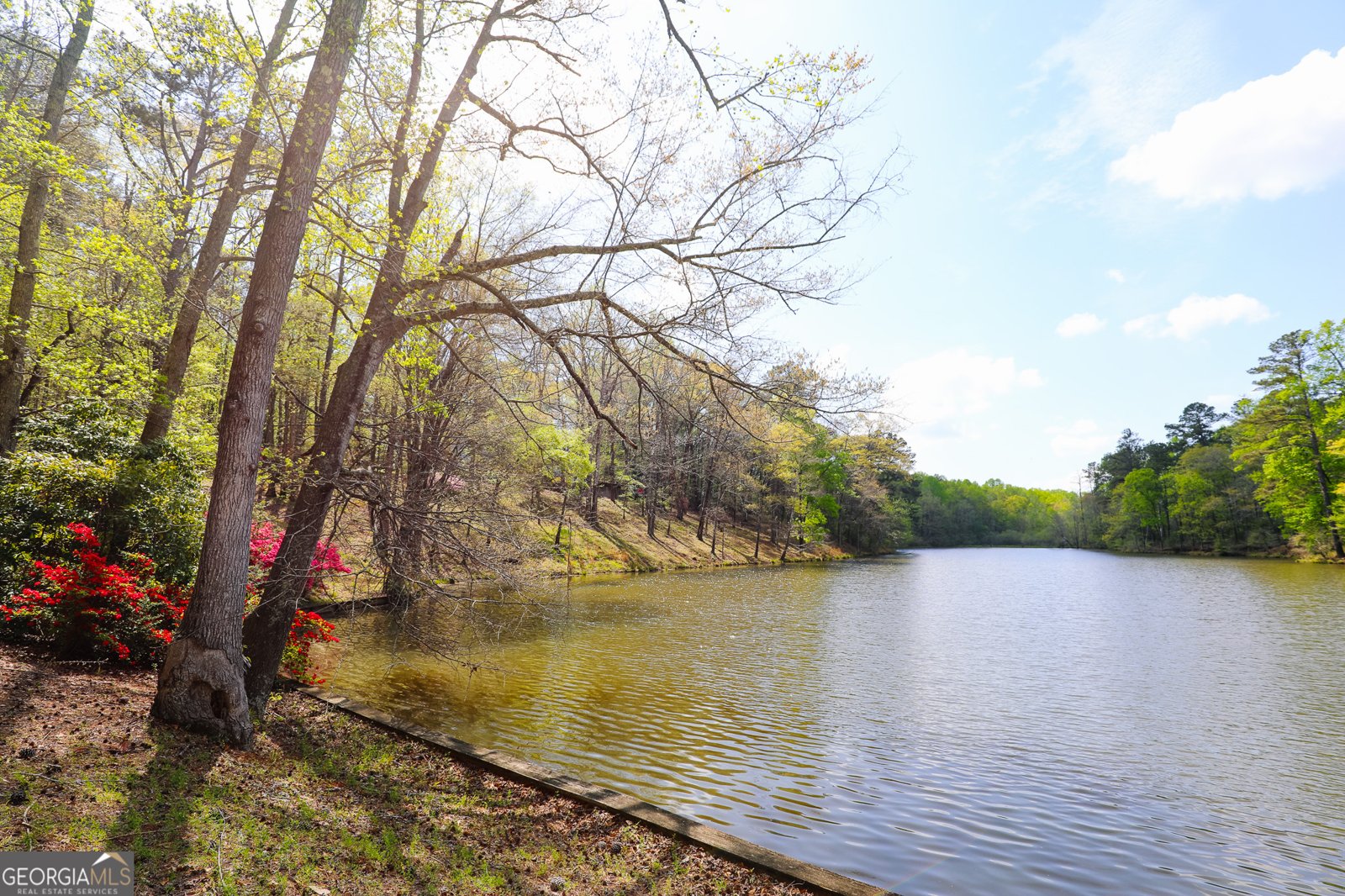 1015 Wahoo Hill Newnan - Photo 67