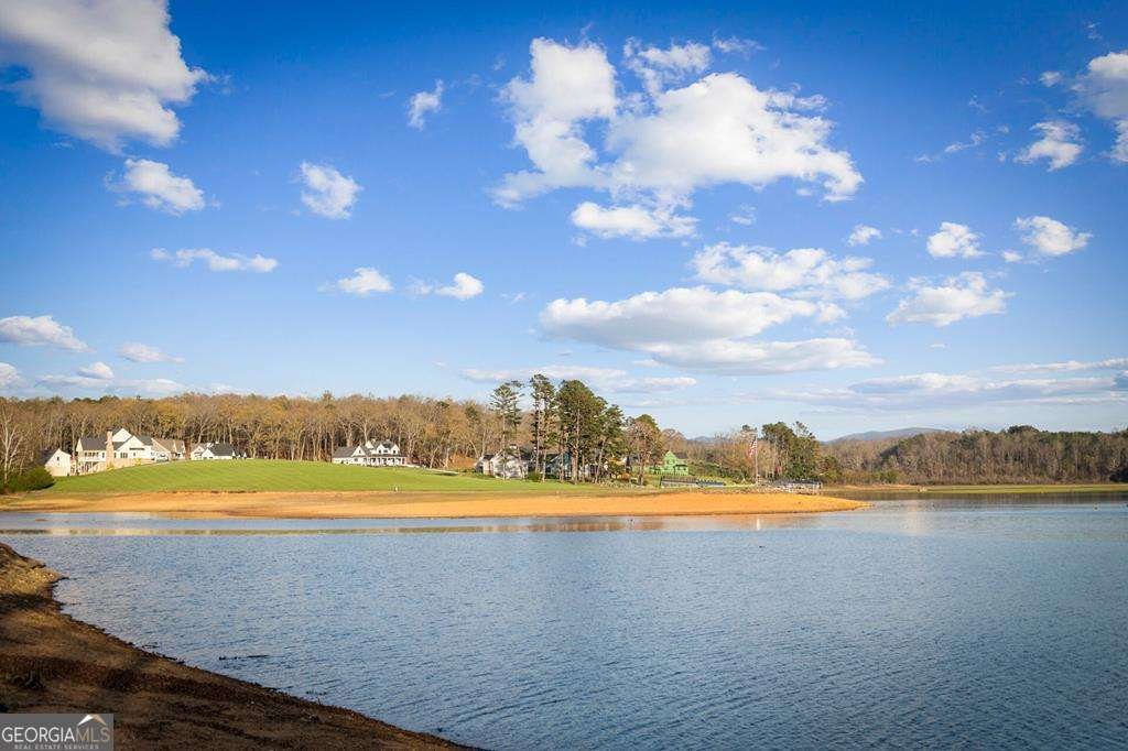 216 Burnell Lane Blairsville - Photo 67