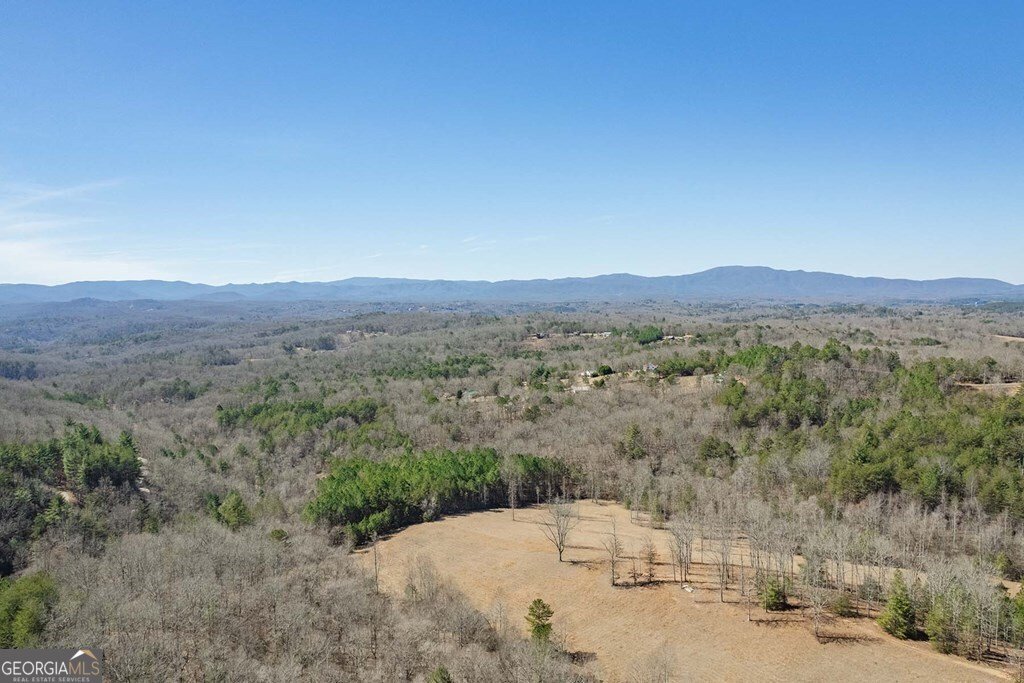 560 Endless View Road Mineral Bluff - Photo 38