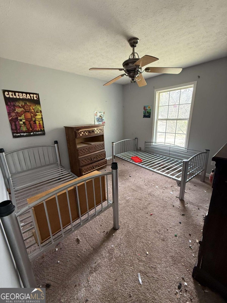 141 Scarlett Place Drive Bowdon - Photo 11