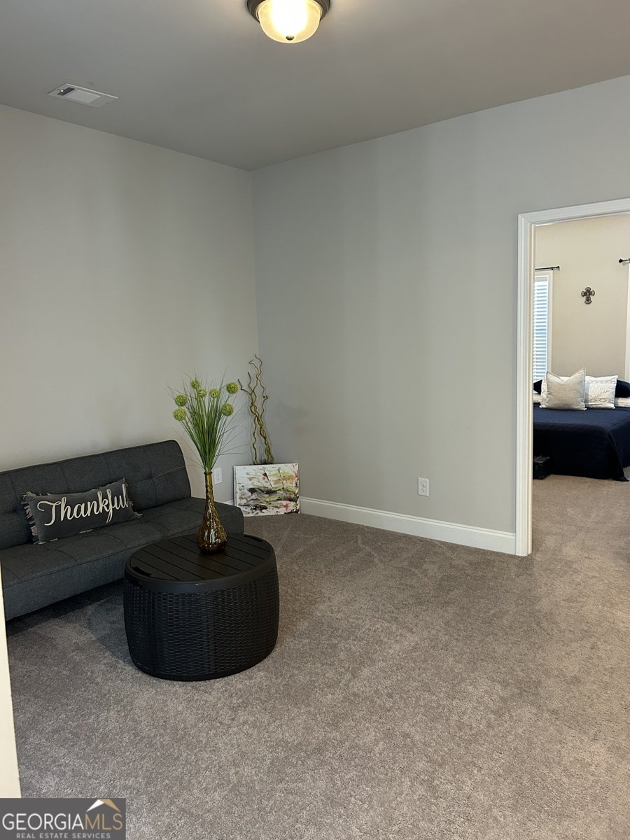 5860 STARGAZER Way Cumming - Photo 43