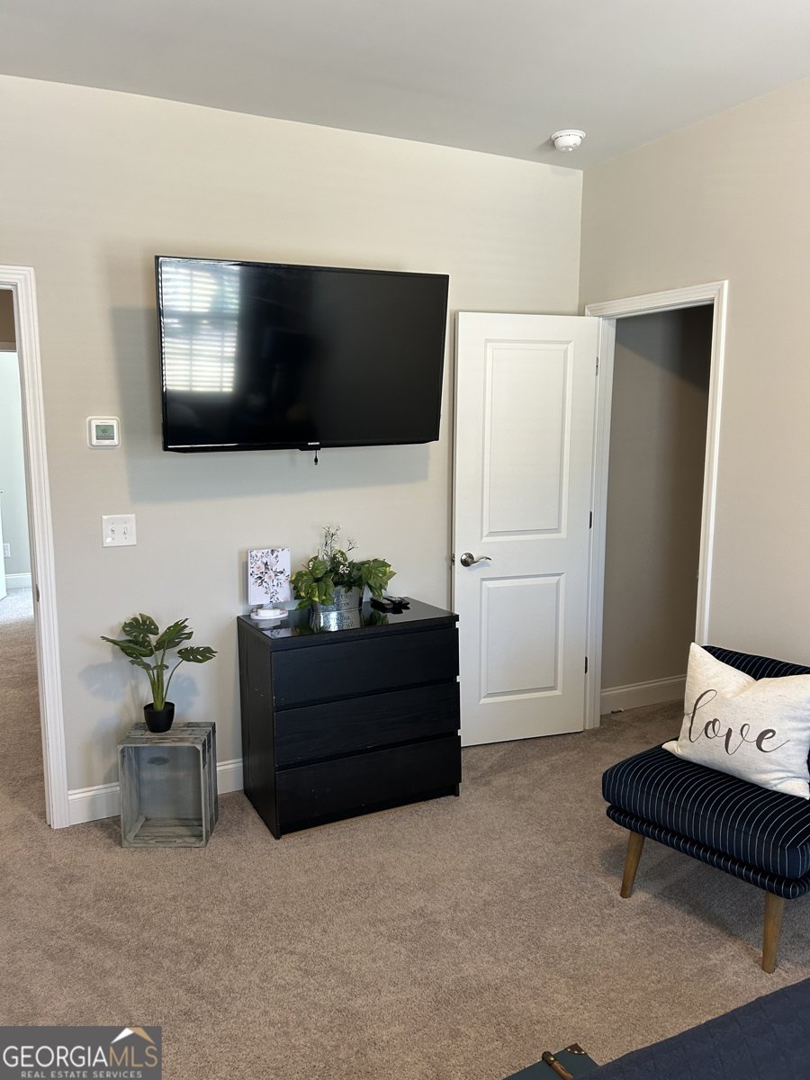 5860 STARGAZER Way Cumming - Photo 47