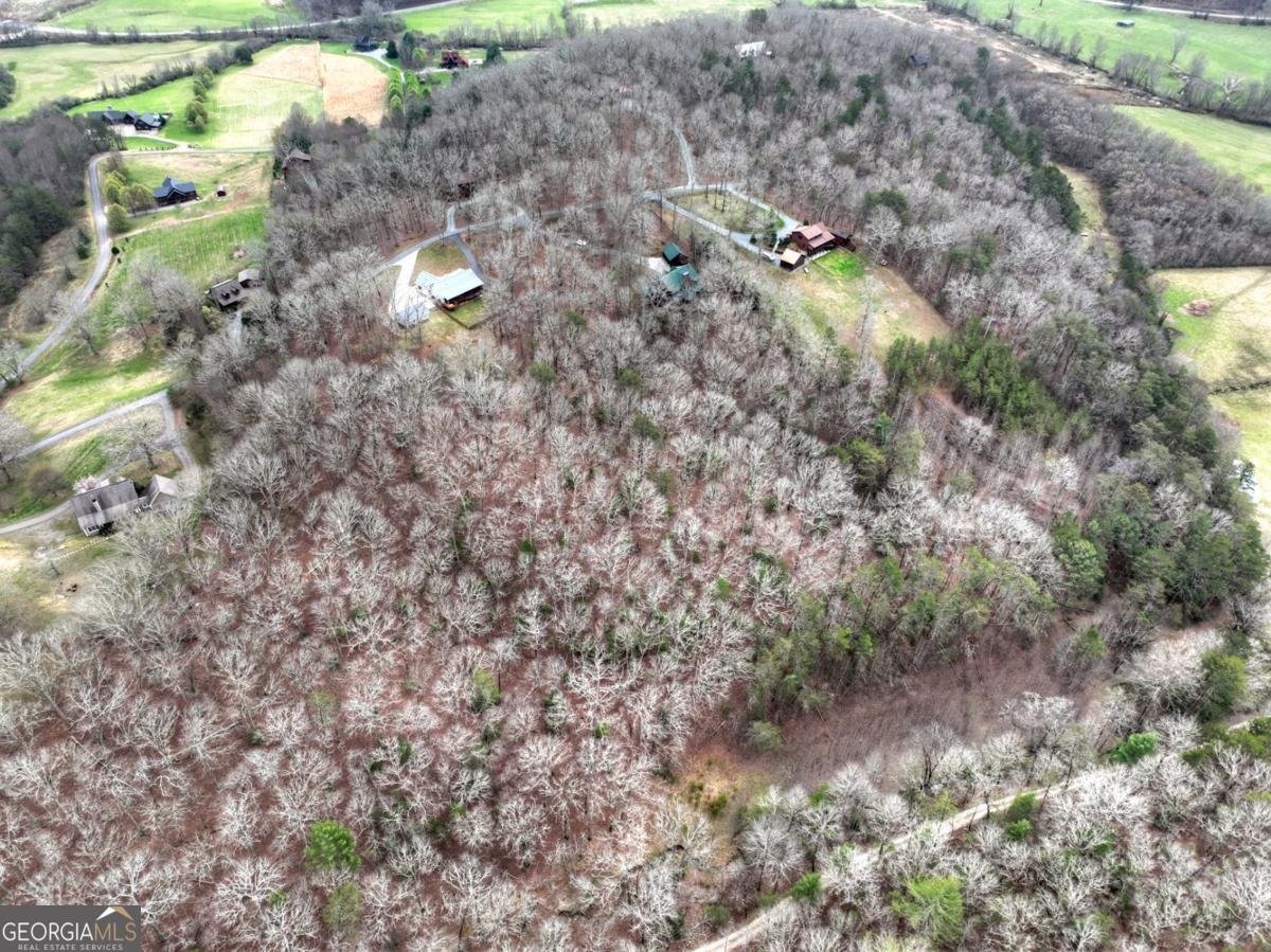 260 Bailey Farm Drive Mineral Bluff - Photo 11