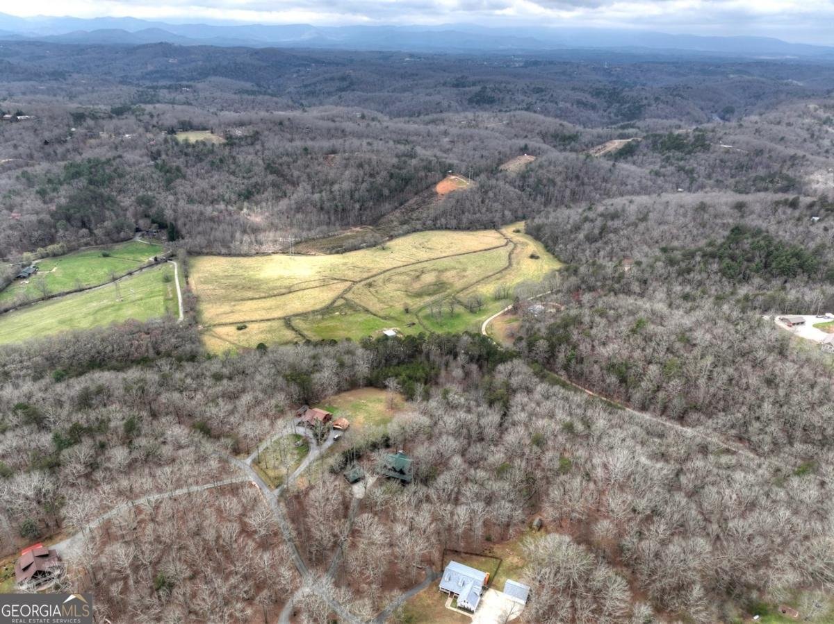 260 Bailey Farm Drive Mineral Bluff - Photo 13