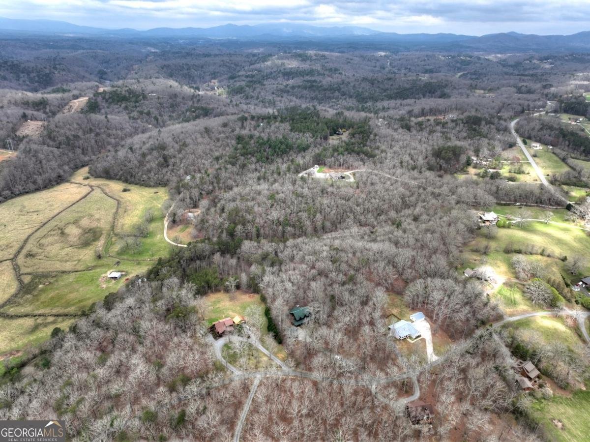 260 Bailey Farm Drive Mineral Bluff - Photo 21