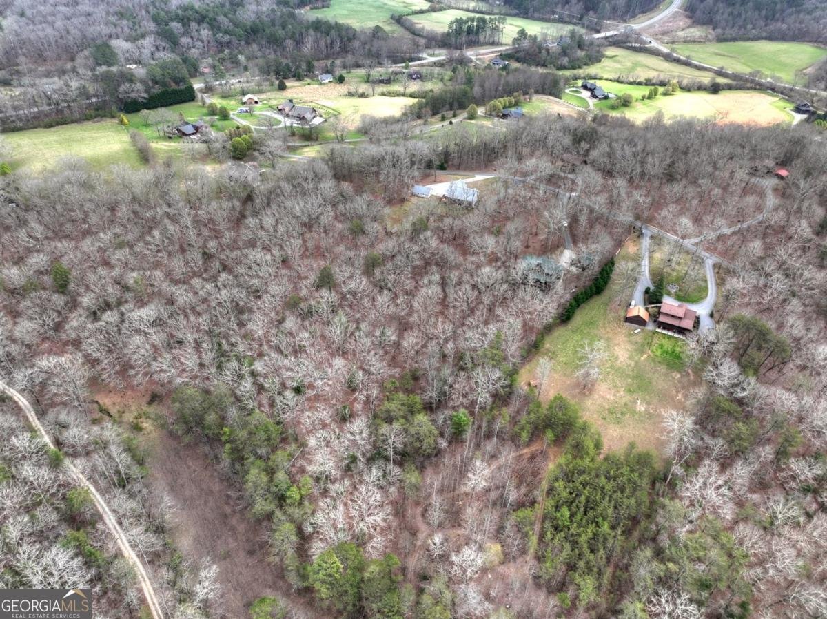 260 Bailey Farm Drive Mineral Bluff - Photo 38