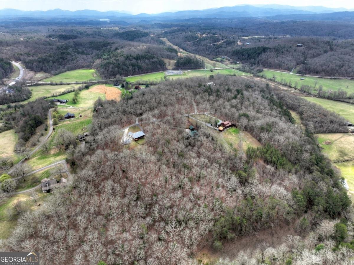 260 Bailey Farm Drive Mineral Bluff - Photo 47