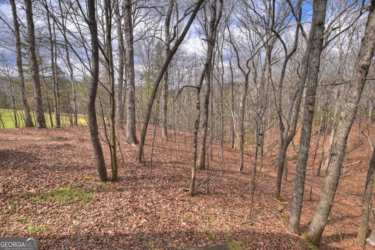 260 Bailey Farm Drive Mineral Bluff - Photo 70