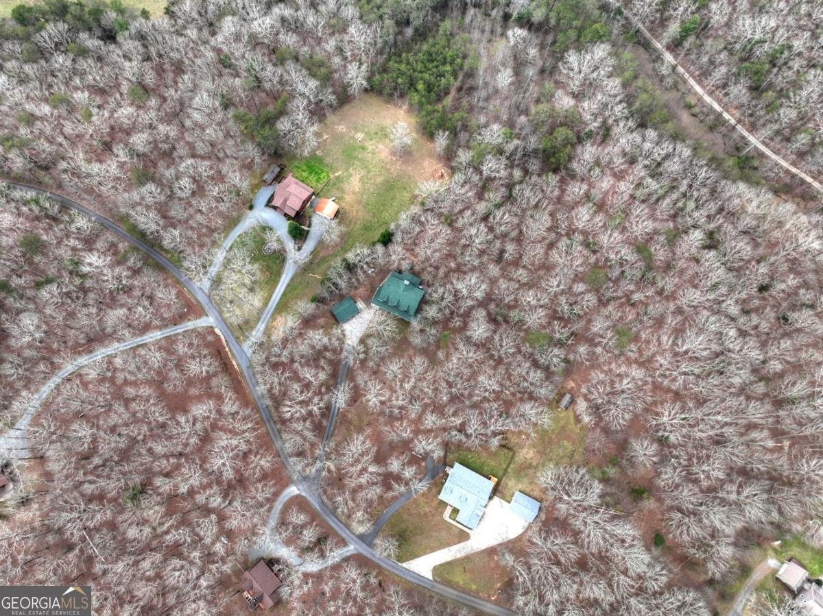 260 Bailey Farm Drive Mineral Bluff - Photo 9