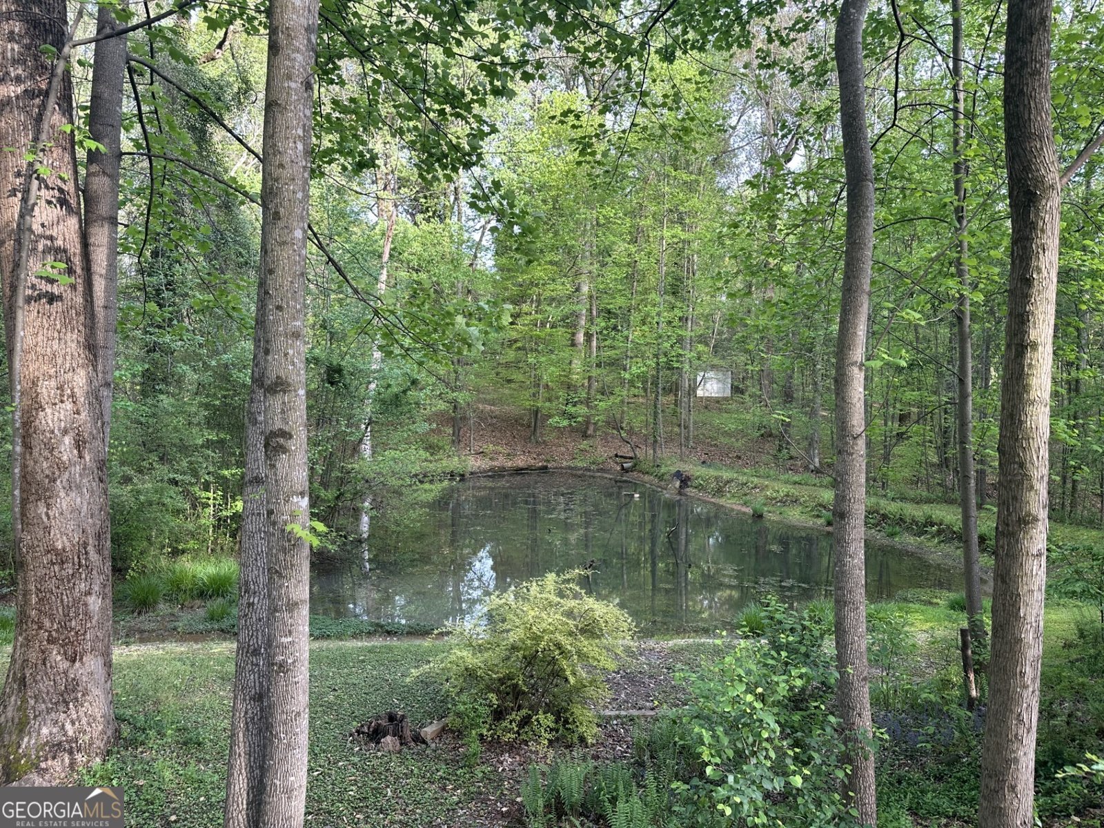 205 Carruth Road Jefferson - Photo 60