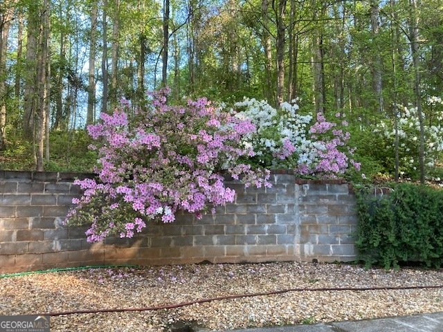 205 Carruth Road Jefferson - Photo 62