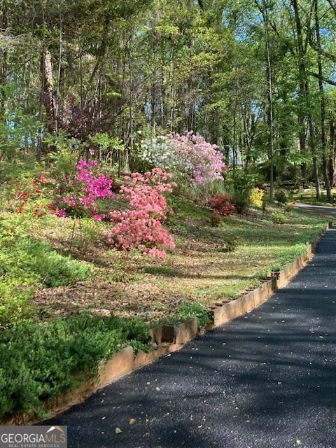 205 Carruth Road Jefferson - Photo 67