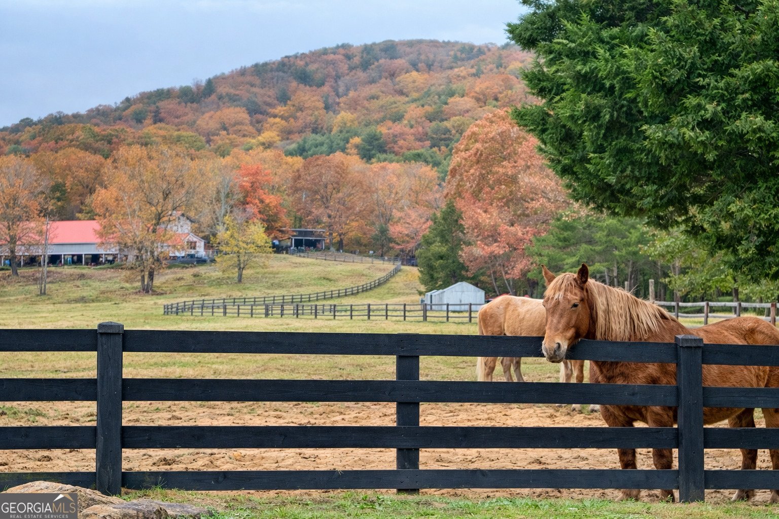 4 Evergreen Trail Cleveland - Photo 19